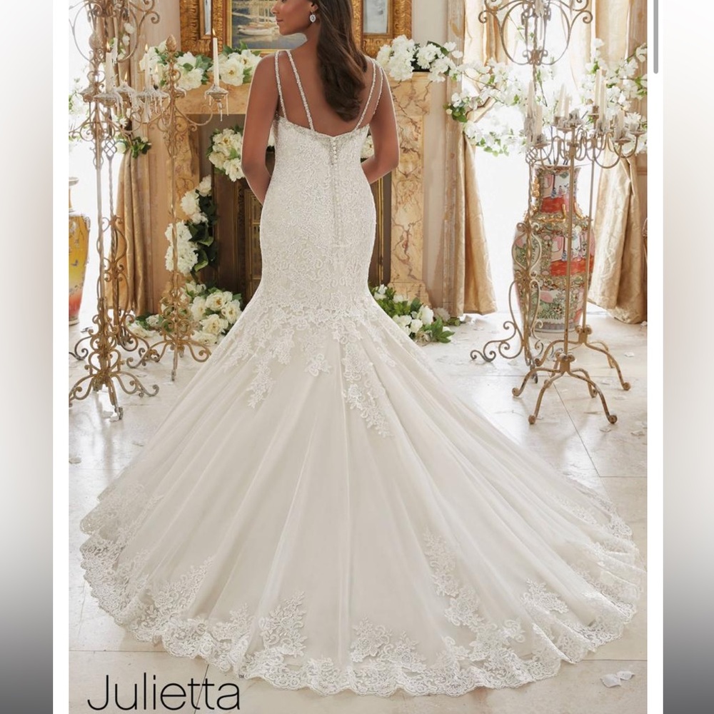 Wedding gown and veil